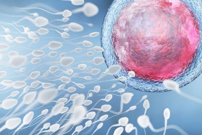 Sperma analüüs on meeste viljakuse test