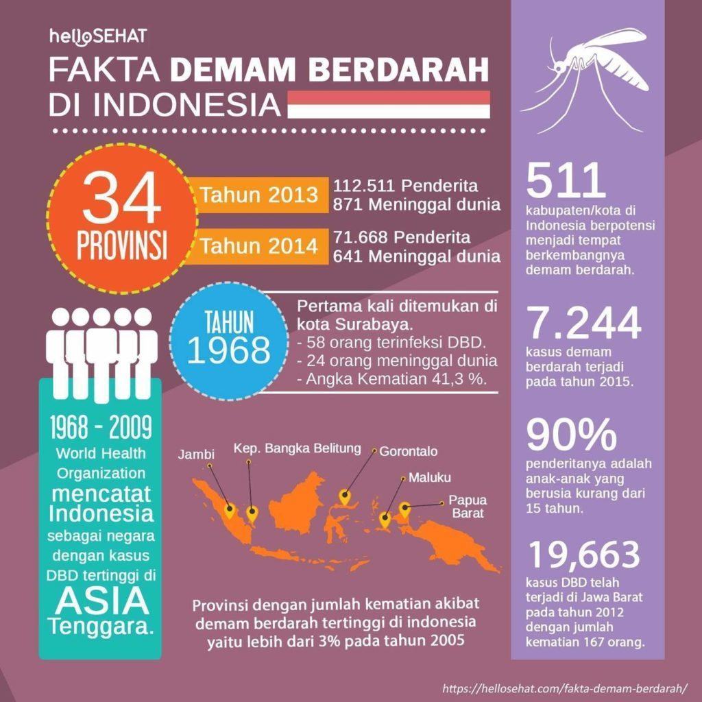 dengue palavik hellosehat Indoneesias