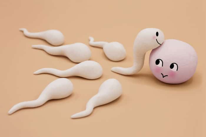 ebatervislik sperma kvaliteet