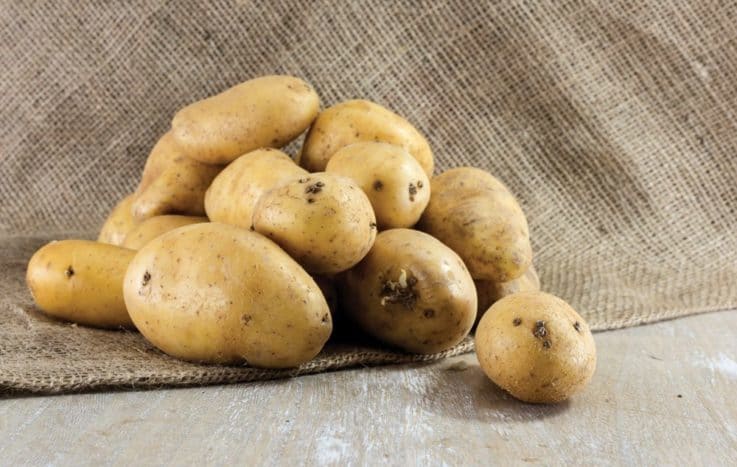 kartulite kasu ilu jaoks