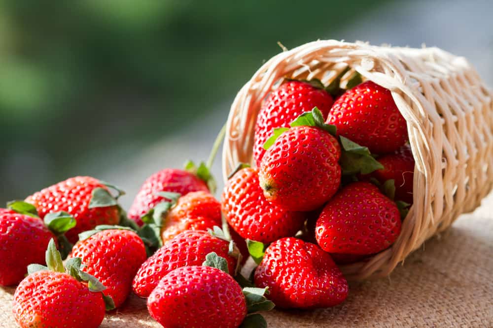 maasika viljade eelised